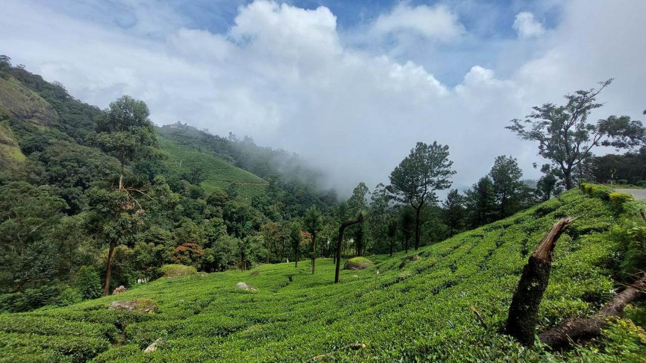 Haritha Homestay Munnar Luaran gambar